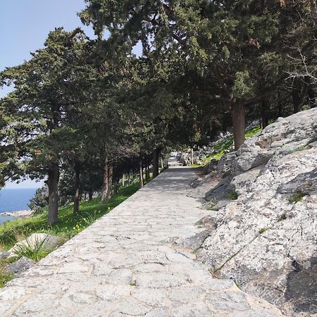 Lindos Esel Suites Dış mekan fotoğraf